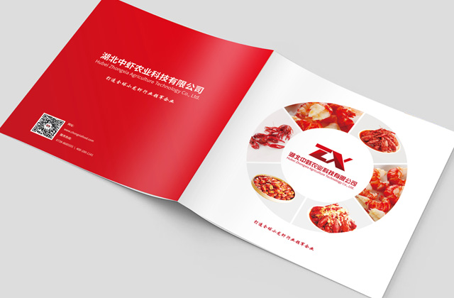 中虾| 画册策划设计